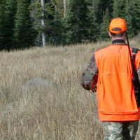 Most Important Hunting Tool Blog
